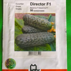 Директор 50 сем