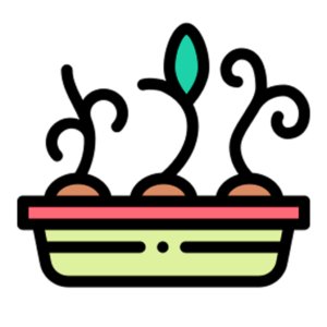 Лотки для рассады