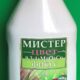 Мистер цвет фикус