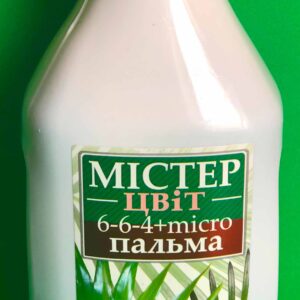 Мистер цвет пальма