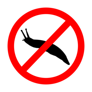 Против слизней