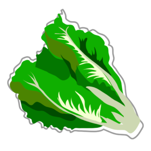 Салат