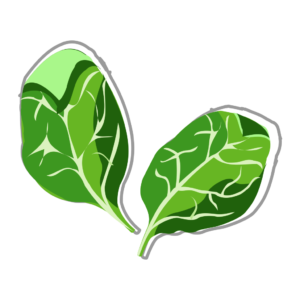 Зелень