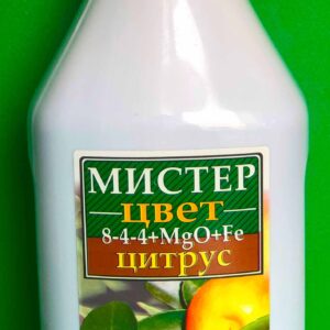 Мистер цвет цитрус
