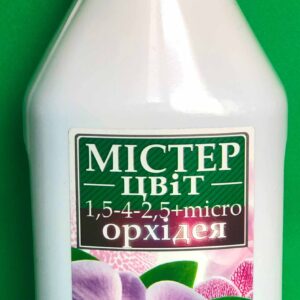 Мистер цвет Орхидея