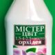 Мистер цвет Орхидея