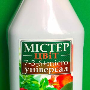 Мистер цвет универсал