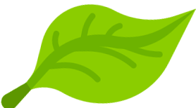 SeedHolland контакты