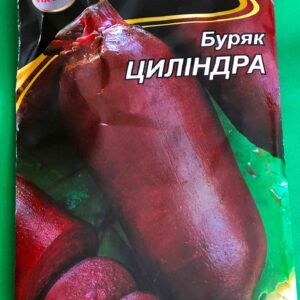 Буряк Цилиндра