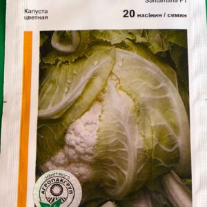 Капуста Санта Мария