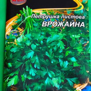 Петрушка листовая урожайная