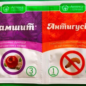 Самшит Антигусень