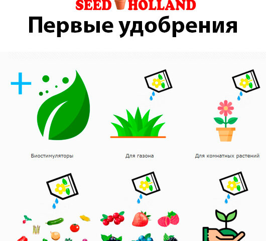 Первые-удобрения