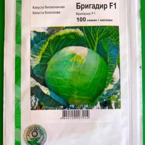 Бригадир 100 семян